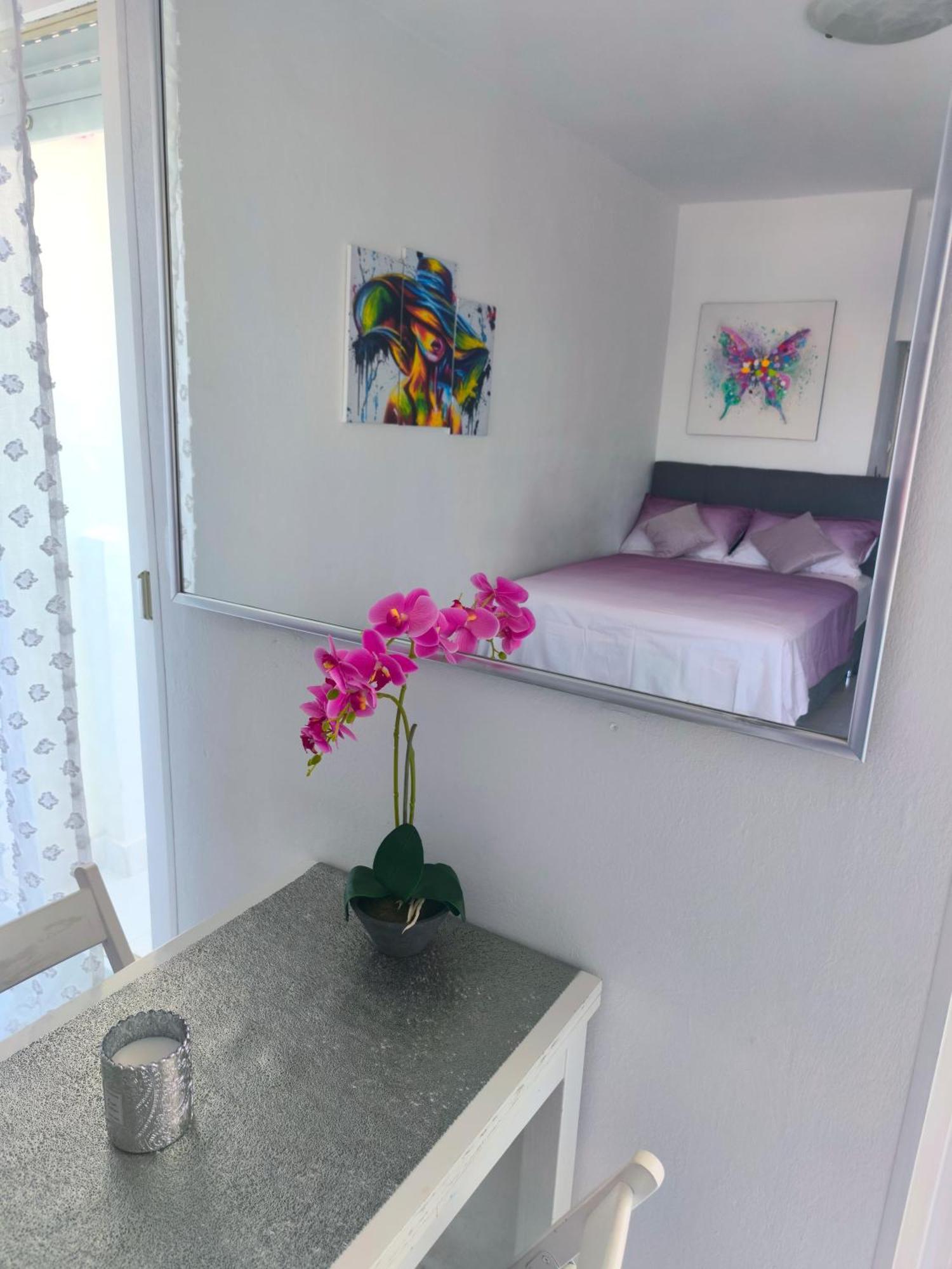 Cute Studio-Great Location Zadar Exteriör bild